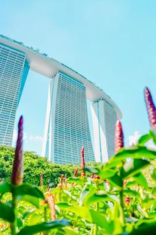 【シンガポール】マリーナベイサンズ シンガポール,マリーナベイサンズ,ベイフロントの写真素材