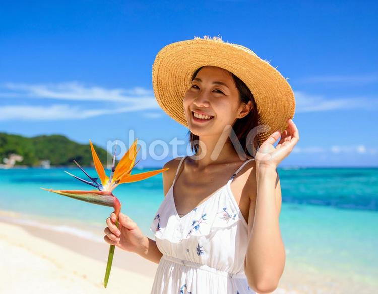 ストレチアの花・夏空と麦わら帽子の彼女 女性,ストレチア,夏の写真素材