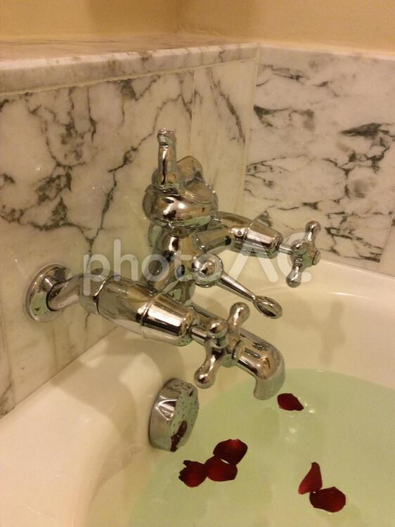 アシカモチーフのホテルの蛇口 バスタイム,アシカ,フラワーバスの写真素材