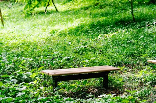 Forest bench, JPG Forest bench, JPG