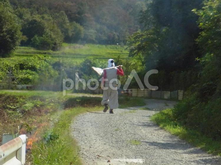草焼き作業する男性 農道,晴れ,砂利道の写真素材