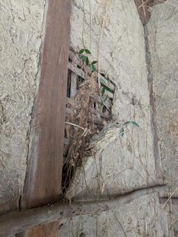 土壁の崩れ 壁,背景,凹凸の写真素材