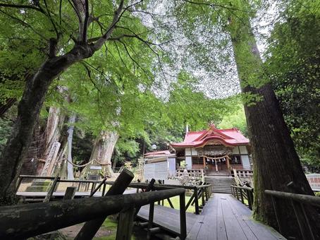 Photo, kochi prefecture, ootake-cho, yasaka shrine, 