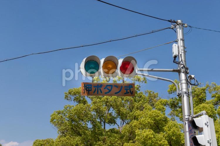 三色の信号機と青空 信号機,青空,交通の写真素材