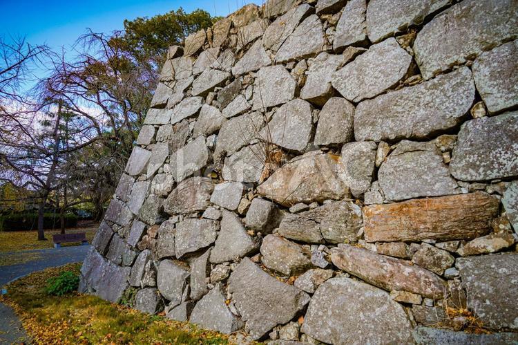 城壁沿いの石垣と自然の調和 石垣,城壁,紅葉の写真素材