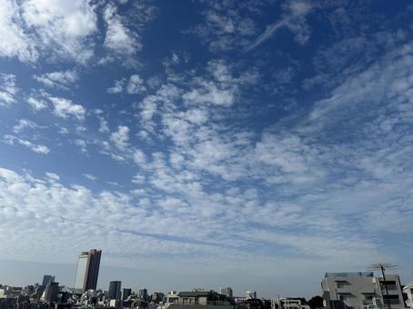 晴天2025秋 空,天気,晴天の写真素材