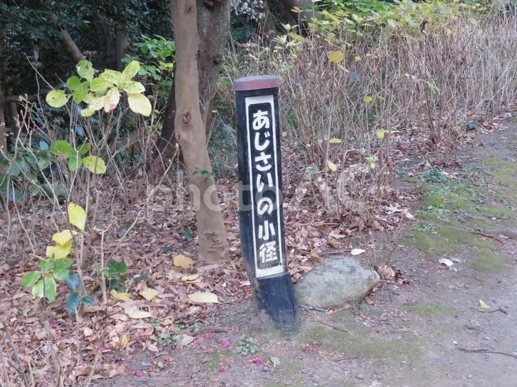 源氏山公園・冬の「あじさいの小径」立札 立札,標識,案内板の写真素材