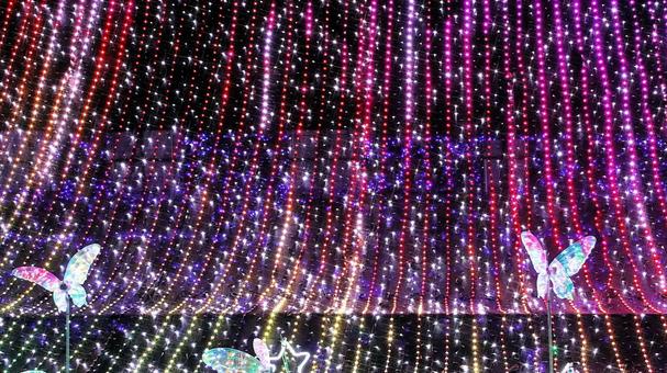 虹の郷　イルミネーション イルミネーション,クリスマス,夜景の写真素材