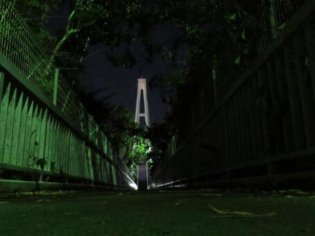 初夏の夜、散歩で渡る吊り橋の上 初夏の夜、散歩で渡る吊り橋の上の写真
