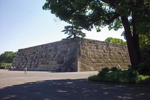 Walking in Tokyo / Imperial Palace # 56 "Edo-castle castle tower / Tenake protector track", इम्पीरियल पैलेस, इम्पीरियल पैलेस के पूर्व गार्डन, ईदो कैसल, JPG