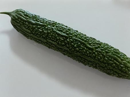 ゴーヤ ゴーヤ ゴーヤ,苦瓜,ツルレイシの写真素材