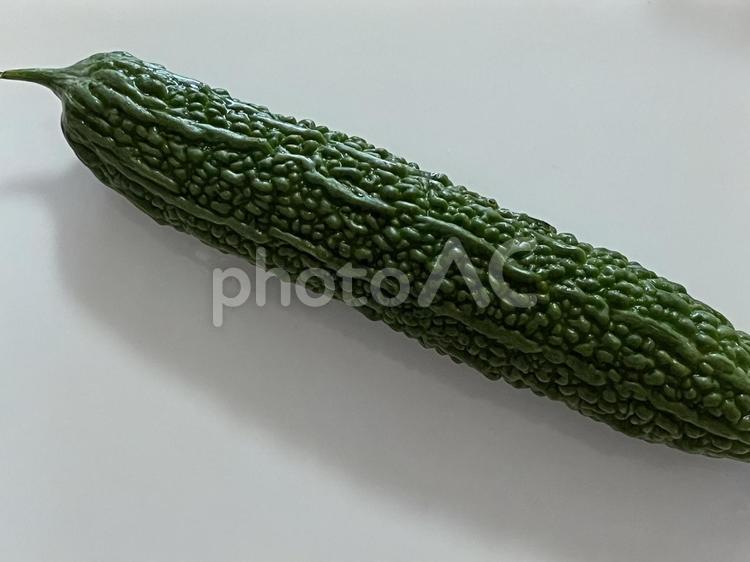 ゴーヤ ゴーヤ,苦瓜,ツルレイシの写真素材