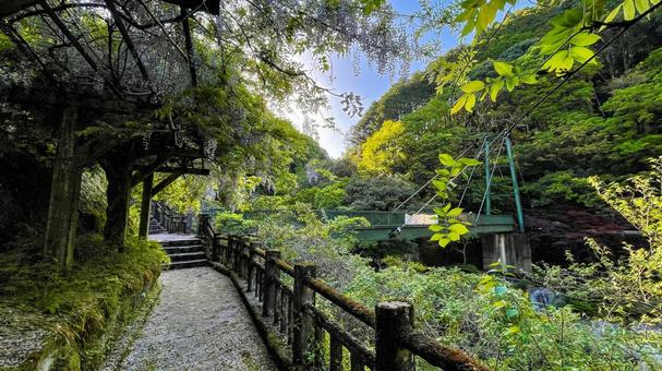 雄淵雌淵公園の奇石渓谷美 雄淵雌淵公園の奇石渓谷美 雄淵雌淵公園,佐賀市,古湯温泉の写真素材