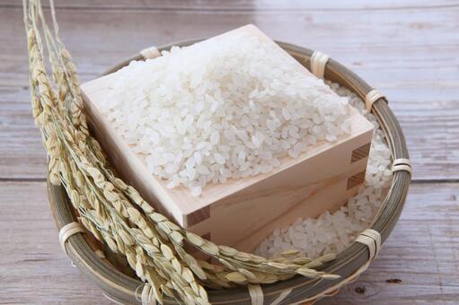 お米　収穫の秋　イメージ 新米,米,秋の写真素材