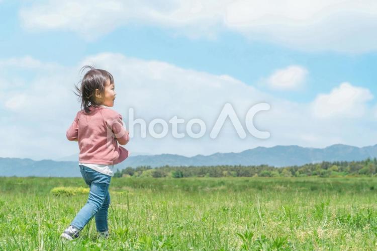 広い公園を走り回る子供（女の子・後ろ姿） 子供,女の子,子どもの写真素材