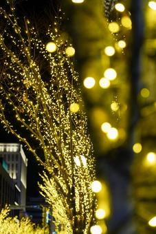 夜に輝くイルミネーション 夜に輝くイルミネーションの写真