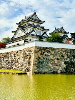 岸和田城 大阪,大阪府,岸和田の写真素材
