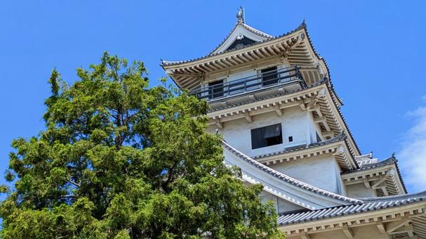 今治城-101 今治城-101 愛媛県,今治市,今治城の写真素材