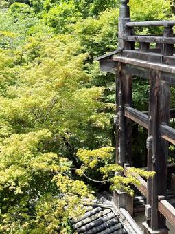 長谷寺から望む初夏の彩り 長谷寺から望む初夏の彩り 長谷寺,奈良県,桜井市の写真素材