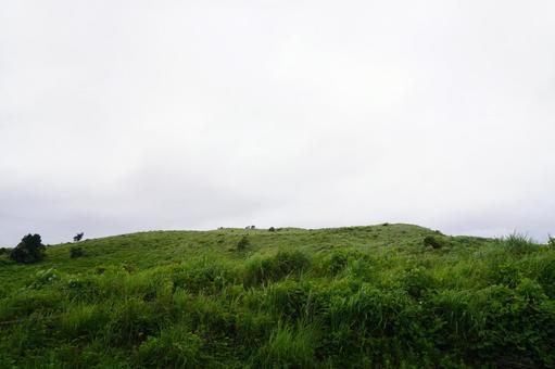 自然の風景 自然の風景の写真