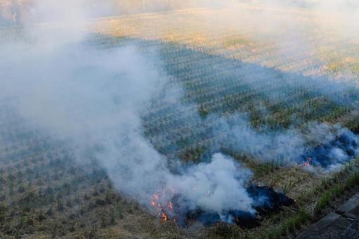 刈田焼き 刈田焼き 苅田焼き,苅田,焼くの写真素材