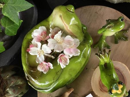 カエル 蛙,花,池の写真素材