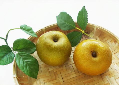 竹ざるに秋の味覚 梨が2個 果物 和梨 竹ざるに秋の味覚 梨が2個 果物 和梨 梨,果物,果実の写真素材