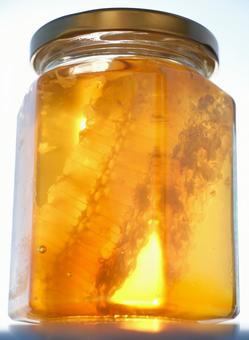 巣入り蜂蜜1 ハチミツ,巣みつ,甘いの写真素材