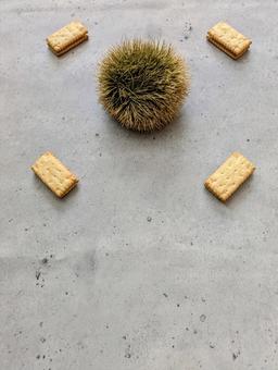 栗とお菓子 栗とお菓子の写真
