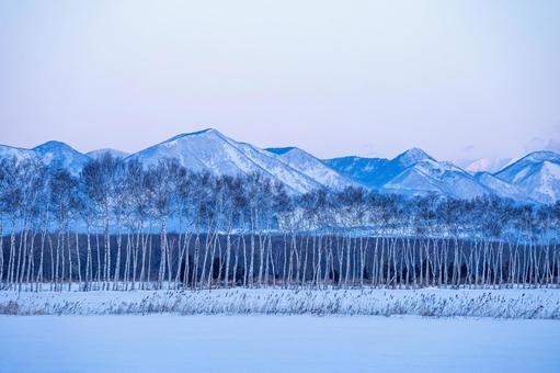 白樺並木と然別の山々 白樺並木と然別の山々 雪原,白樺林,山並みの写真素材