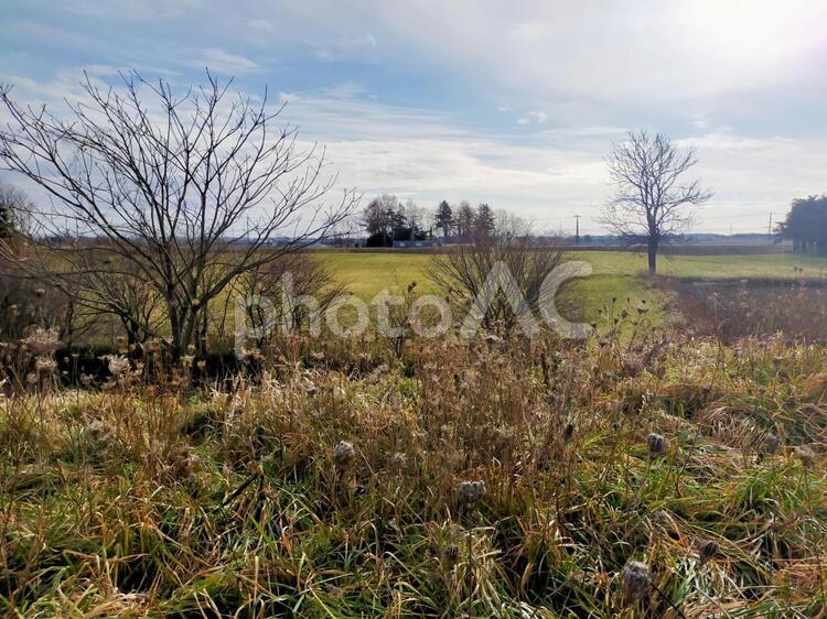 すっかり秋が深まり冬も間近です 秋,風景,自然の写真素材