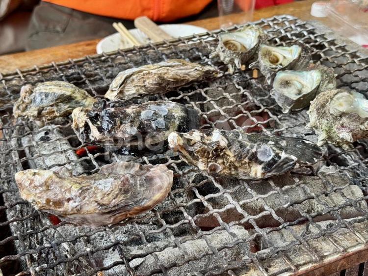牡蠣　焼き牡蠣 牡蠣,かき,カキの写真素材