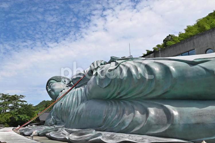 南蔵院の釈迦涅槃像 南蔵院,釈迦涅槃像,仏像の写真素材