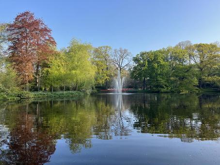 キューケンホフ公園 キューケンホフ,チューリップ,アムステルダムの写真素材