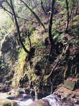 小さな渓流 古き良き自然 小さな渓流 古き良き自然の写真