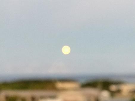 月のアップ 月のアップの写真