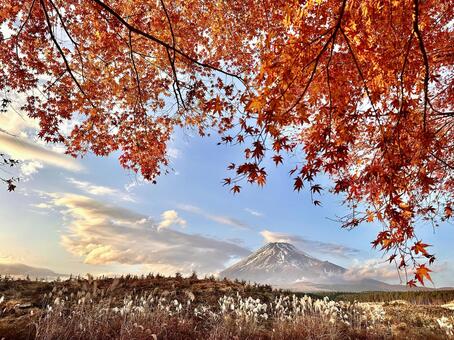 紅葉と富士山 富士山,紅葉,秋の写真素材