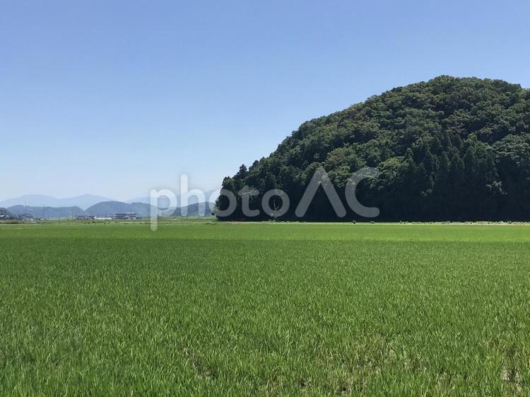 田園風景 風景,空,自然の写真素材
