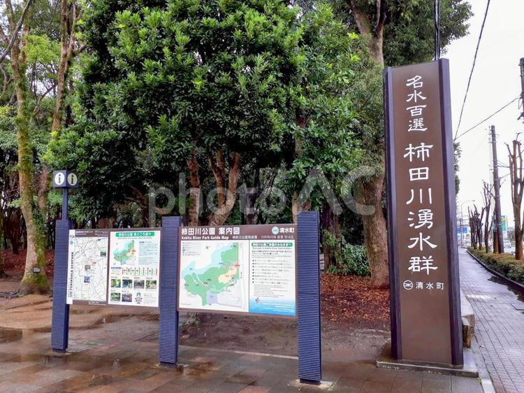 柿田川公園、湧水群、静岡県駿東郡 柿田川,公園,湧水群の写真素材
