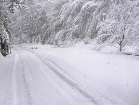 大雪で道路に積もった雪とわだち2 わだち,轍,道路の写真素材