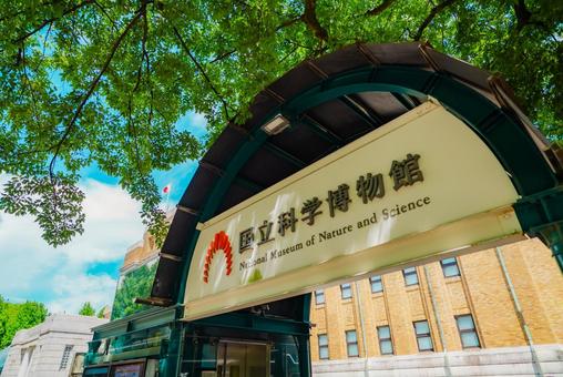 【東京】上野国立博物館 2025 【東京】上野国立博物館 2025 上野,国立博物館,2025の写真素材