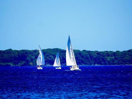 ヨットと青い海と青空 ヨットと青い海と青空の写真