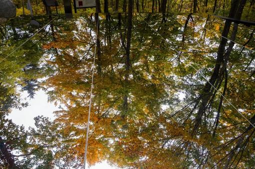 秋の空気神社⑶ 空気神社,モニュメント,空気の写真素材
