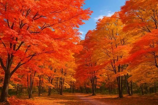 Beautiful autumn forest scenery with autumn leaves, autumn leaves, autumn, woods, JPG
