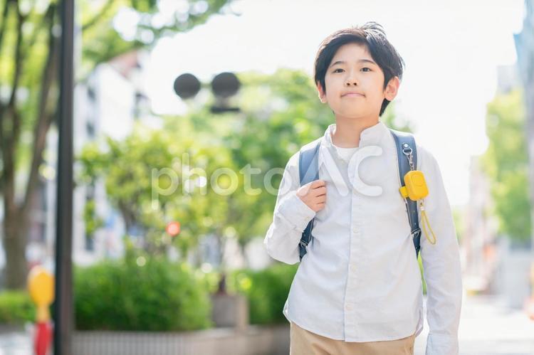 登校する小学生 登校,下校,歩くの写真素材