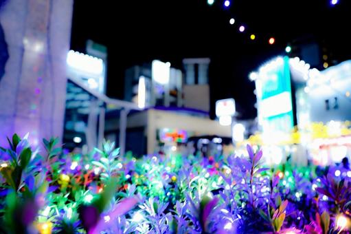 街の光 街の光の写真