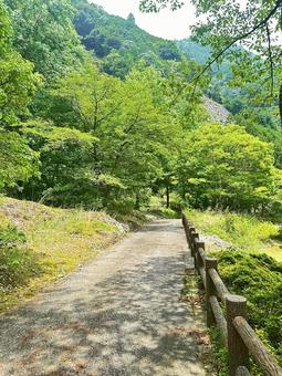 Photo, shimokitayama village, nara prefecture, outdoor, hot spring, 