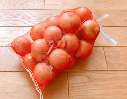 たまねぎネット たまねぎネット,玉ねぎ,ネットの写真素材