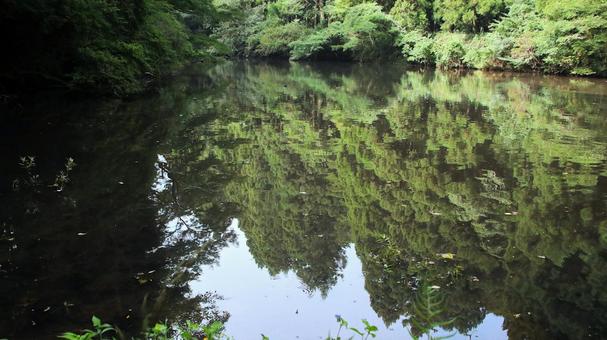 芦ノ湖の湖面に映る晩夏の風景 芦ノ湖の湖面に映る晩夏の風景 芦ノ湖,晩夏,恩賜箱根公園の写真素材