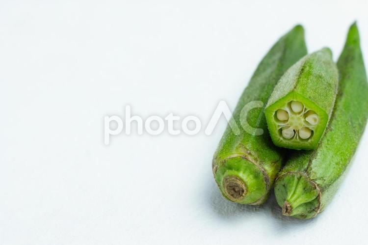 左にコピースペースのあるオクラ オクラ,野菜,夏野菜の写真素材